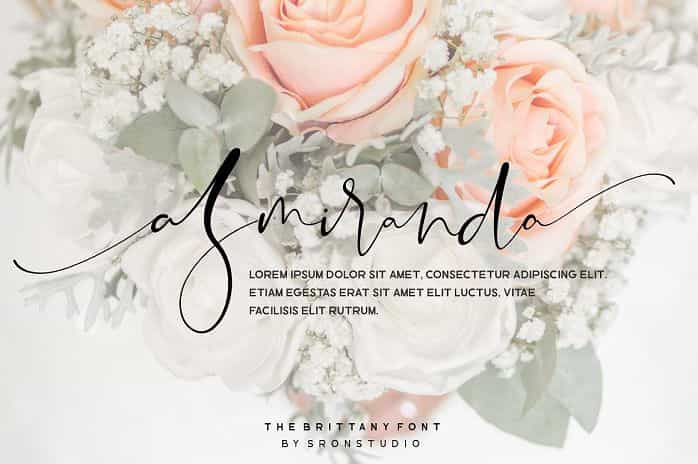 The Brittany Font Trio Image 2