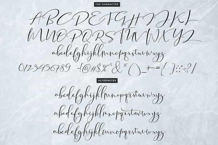 Tifany Script Font Image 2