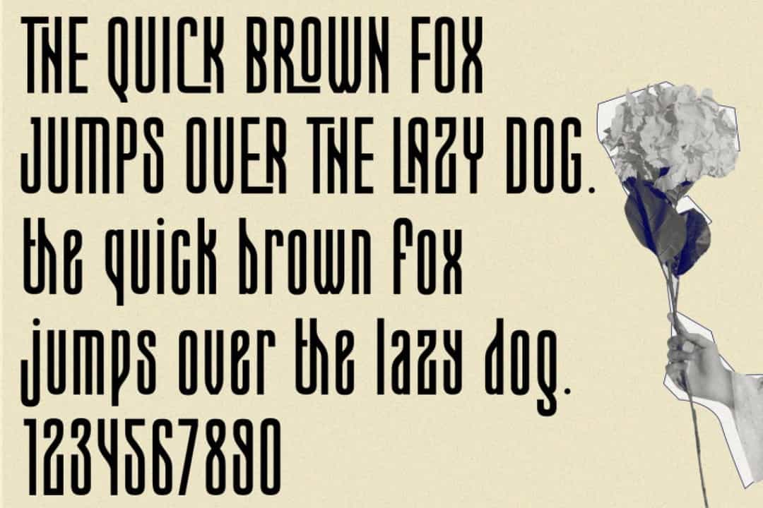 Conical Condensed Font Image 3