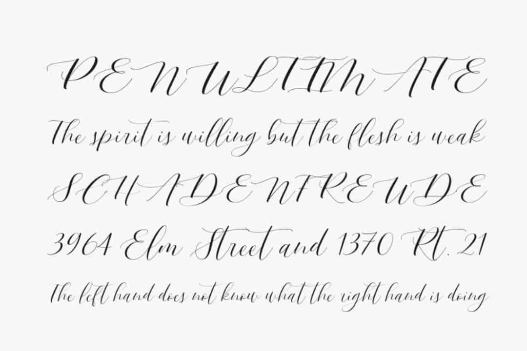 Bergamote Font Image 2