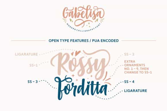 Gabelisa Script Font Image 2
