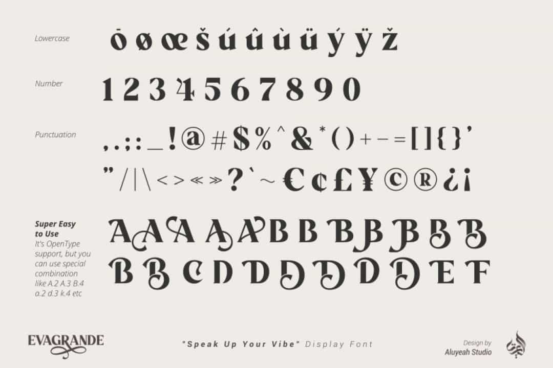 Evagrande Font Image 3