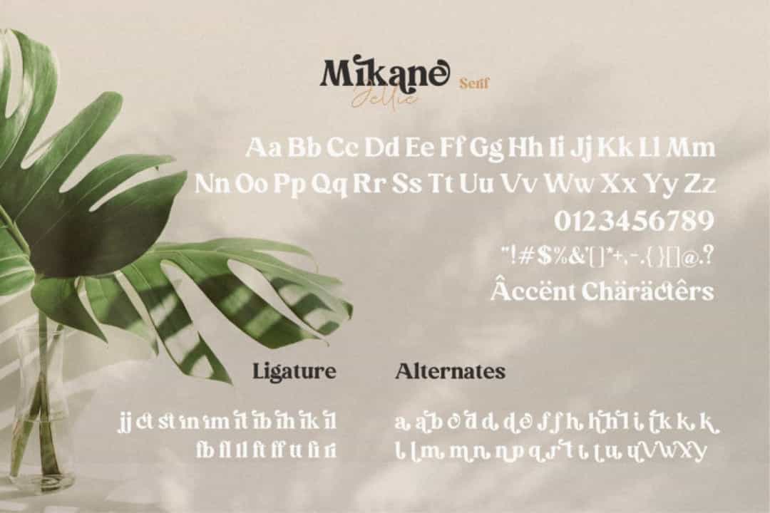 Mikane Jellie FontMikane Jellie Font Duo Image 2