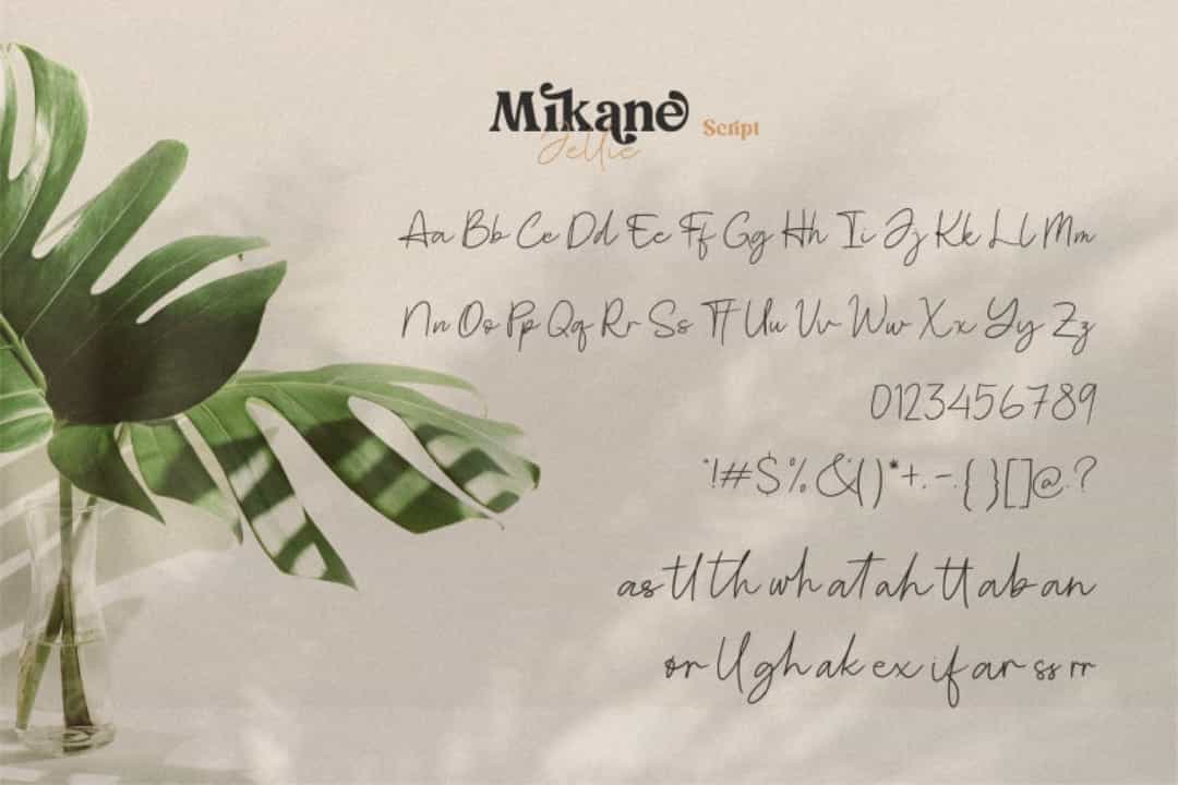 Mikane Jellie FontMikane Jellie Font Duo Image 3