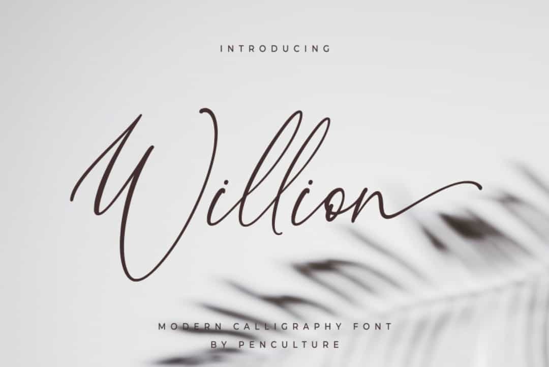 Willion Font Image 1