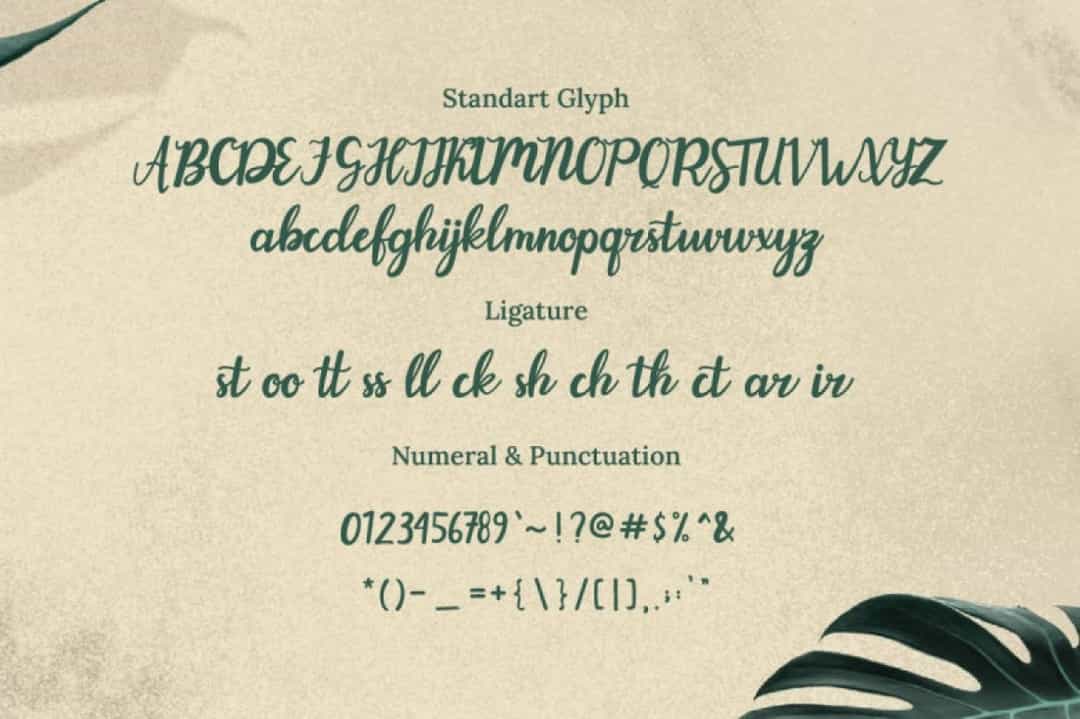 Evergarden Font Image 3