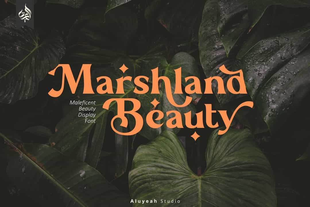Marshland Beauty Font Image 1