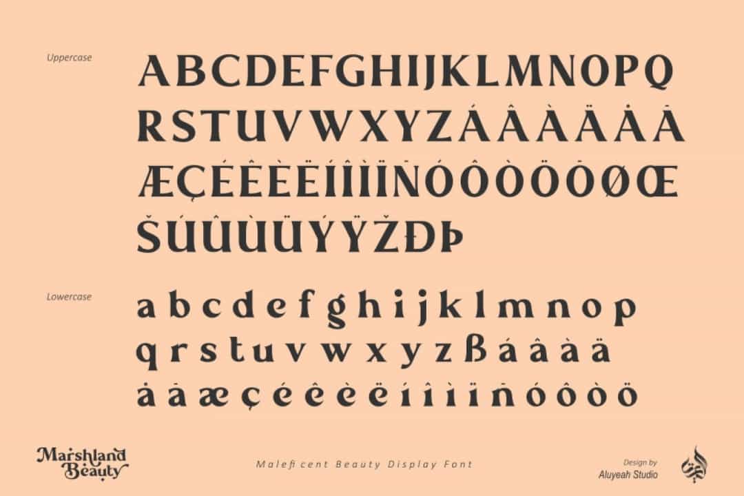 Marshland Beauty Font Image 2