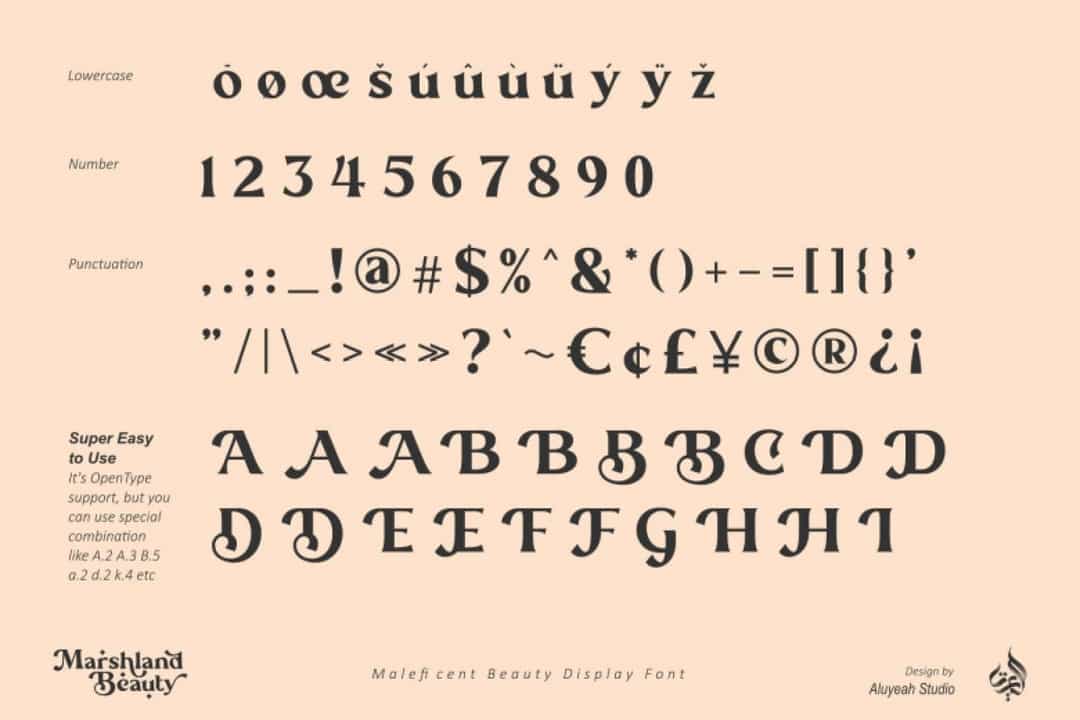 Marshland Beauty Font Image 3