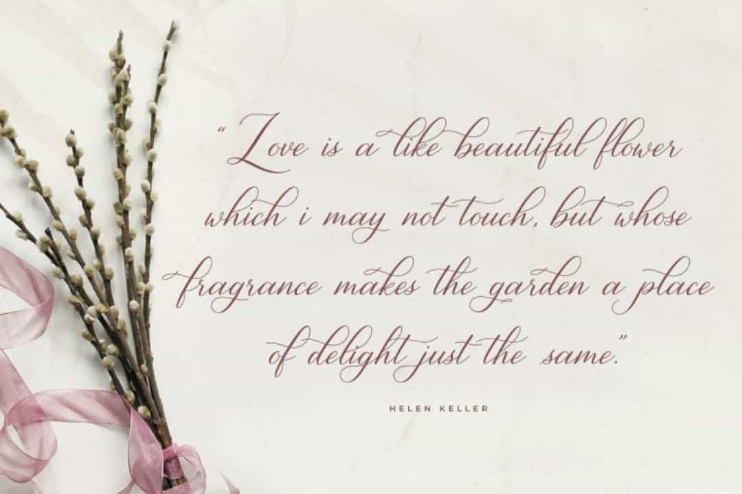 Gresilya Font Image 2