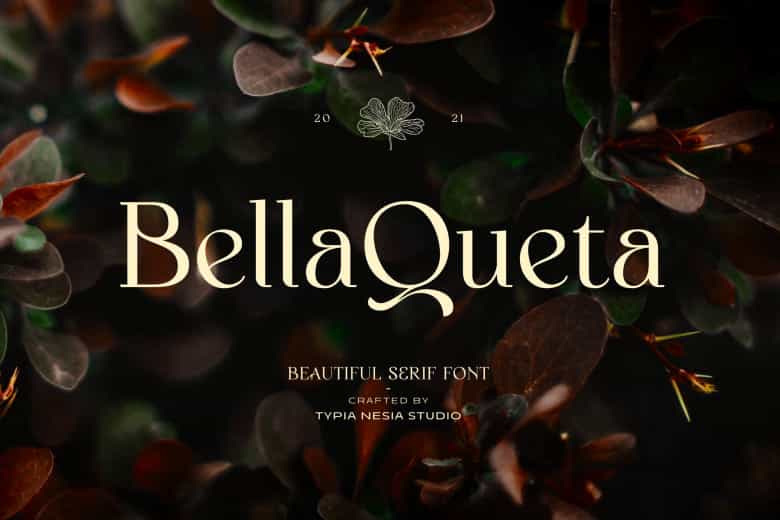 Bella Queta Font Image 1