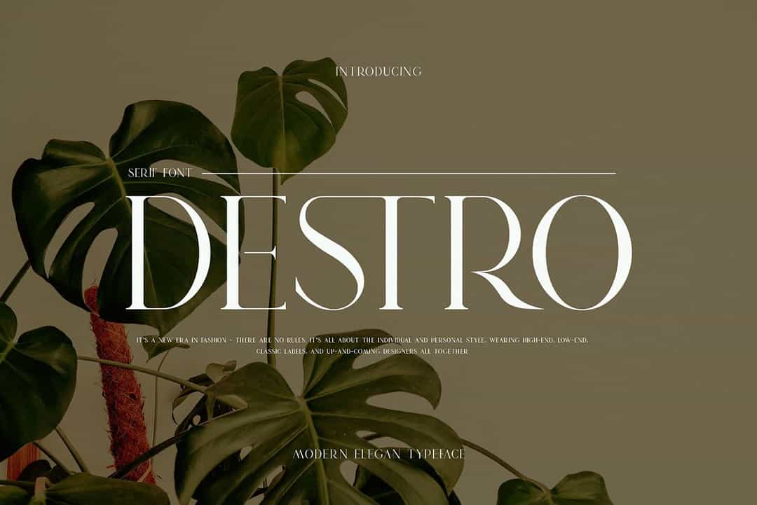 Dsetro Font Image 1