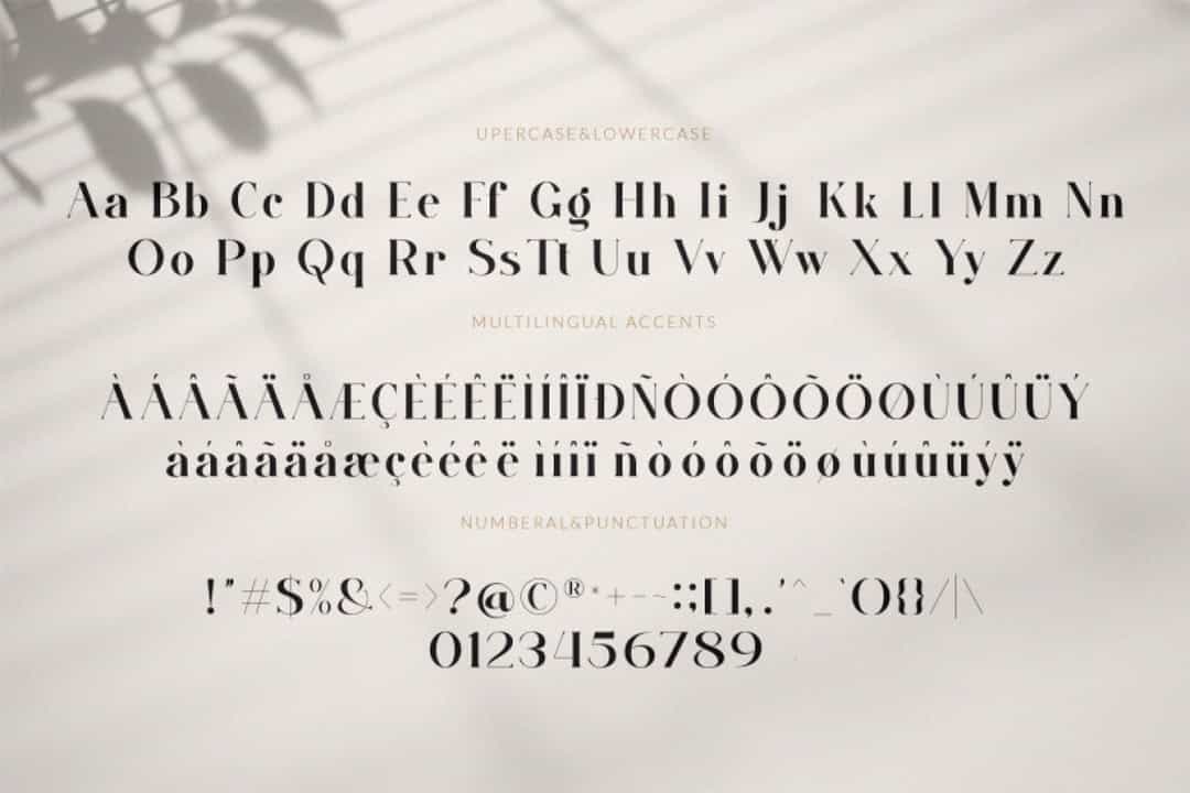 Walking Straight Font Duo Image 2