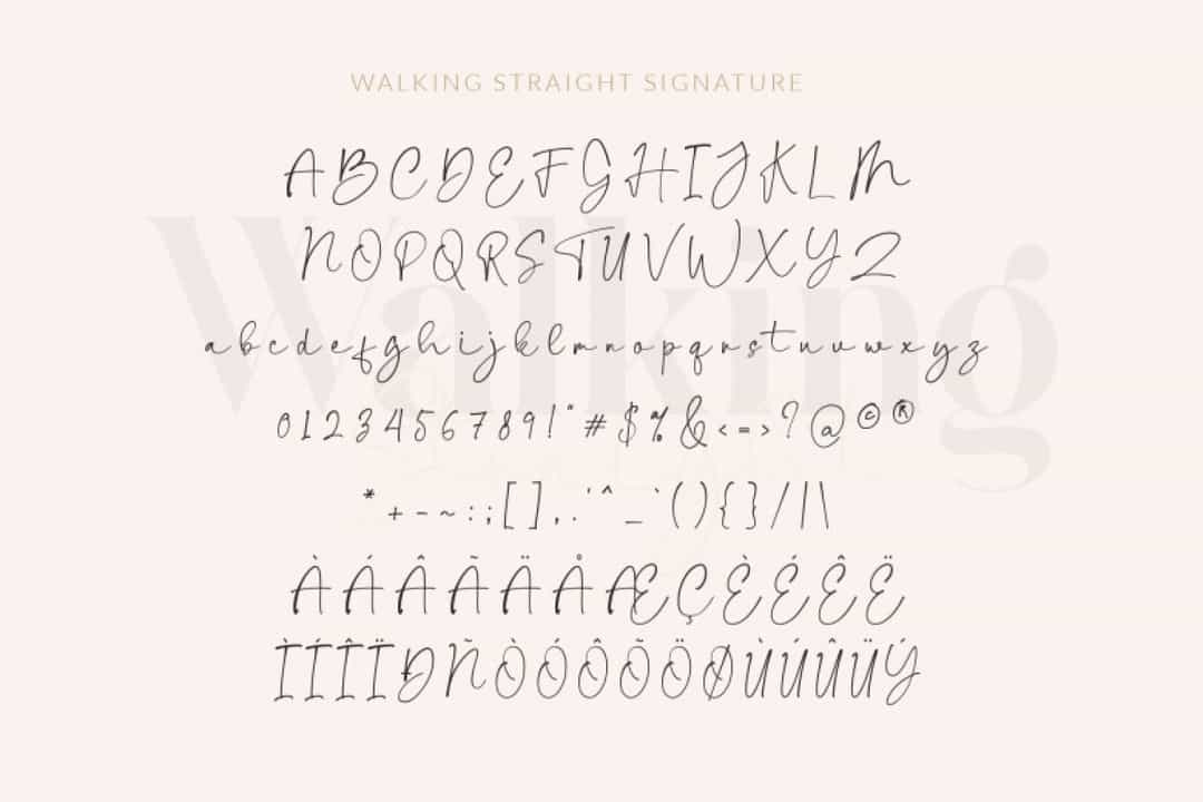 Walking Straight Font Duo Image 3