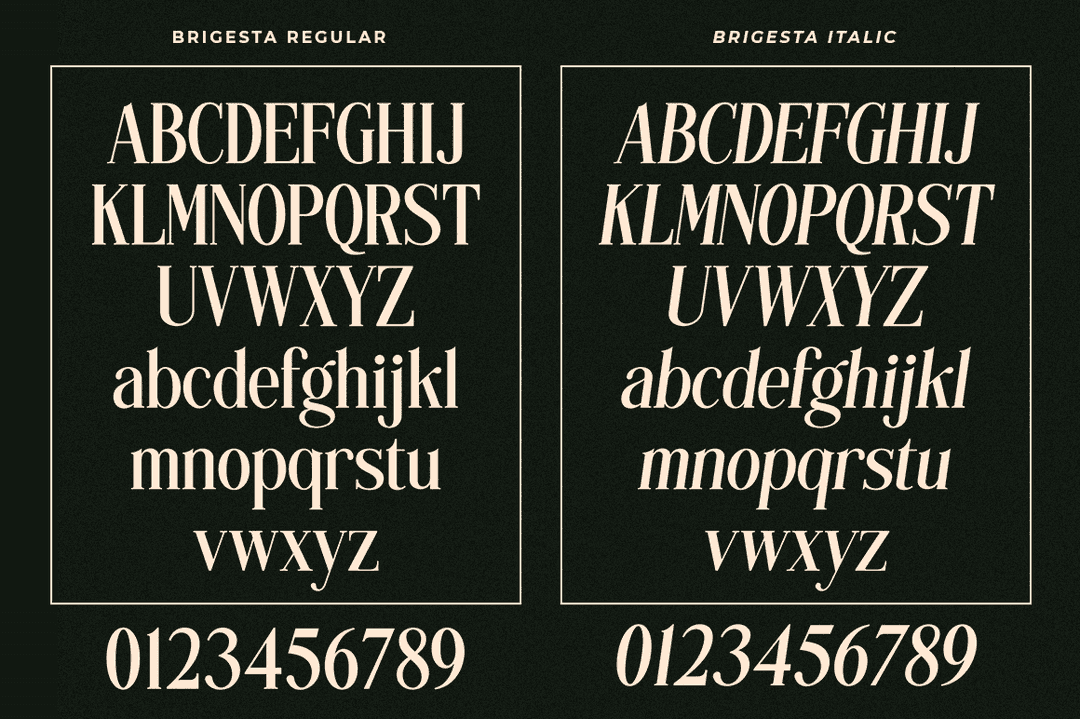 Brigesta Font Image 3