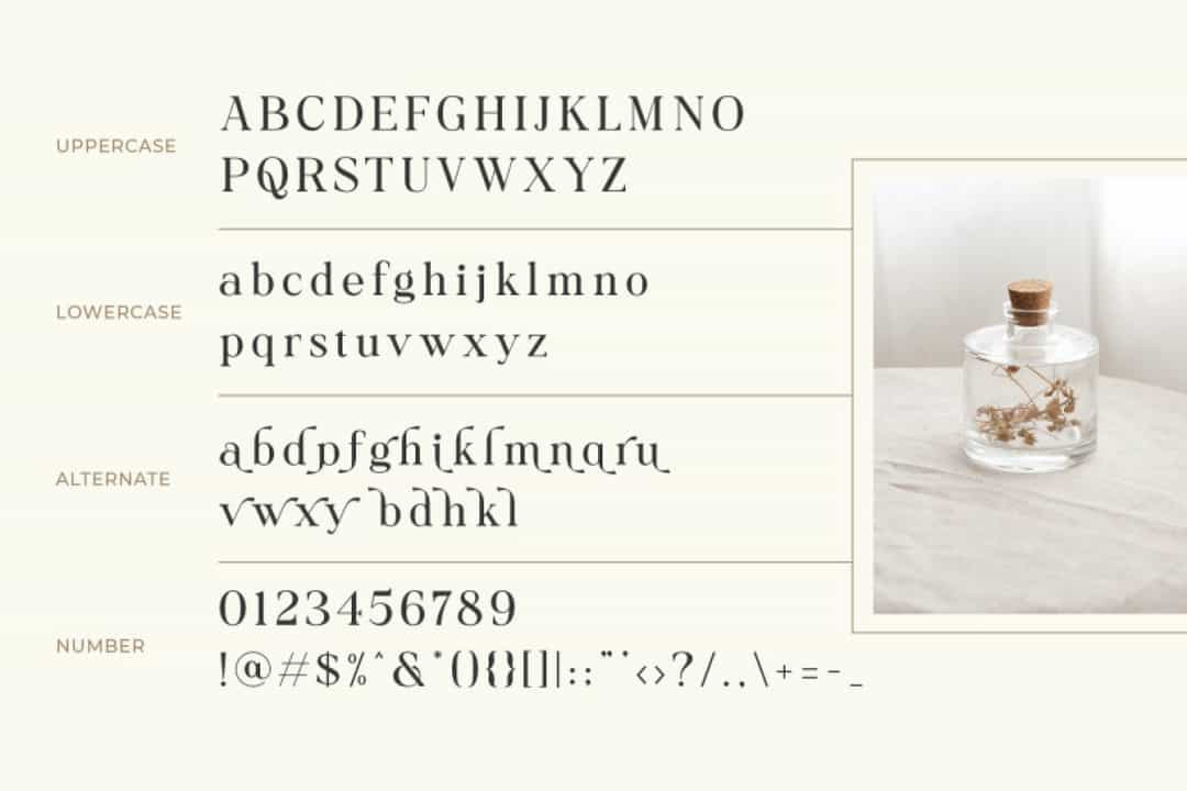 Collina Font Image 3