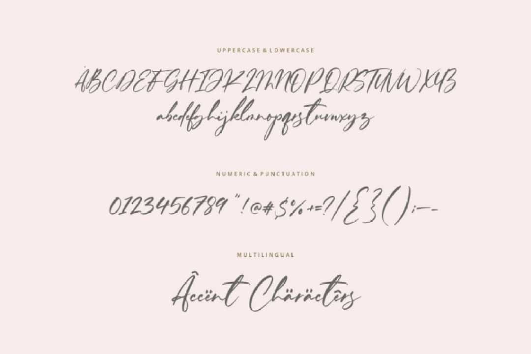 Ferguson Hunter Font Image 3