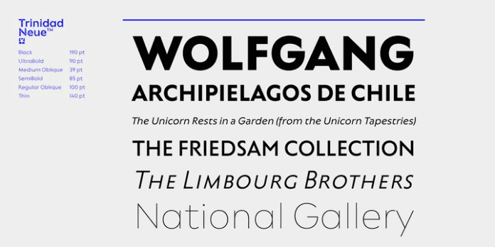Trinidad Neue Font Family Image 2