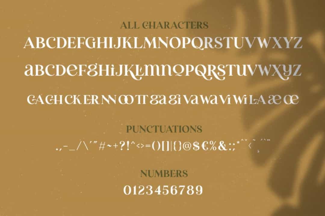 Erva Esra Font Image 3