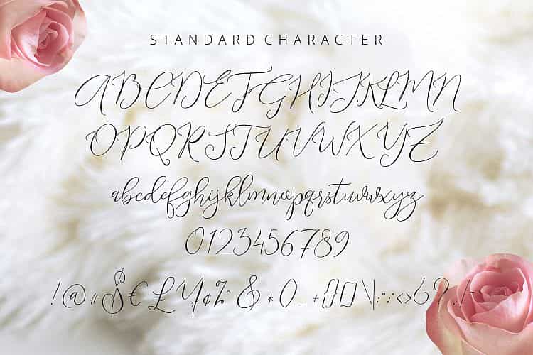 Endless Script Font Image 2