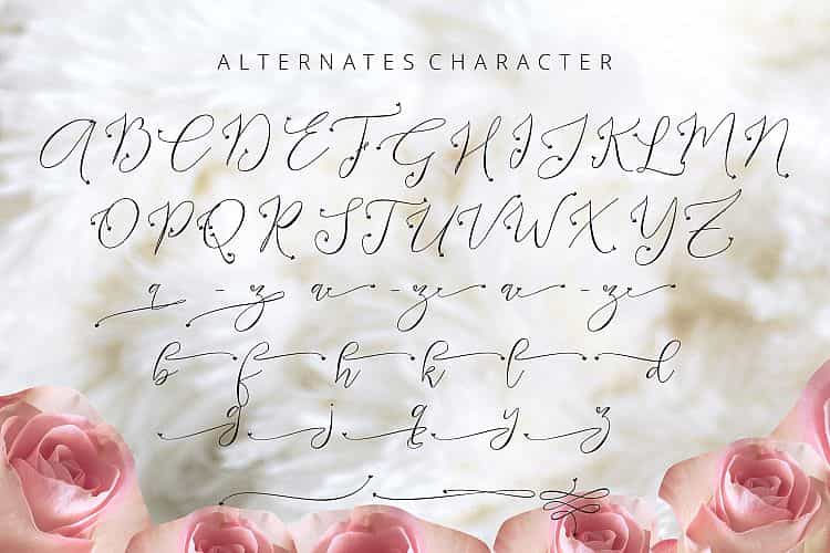 Endless Script Font Image 3