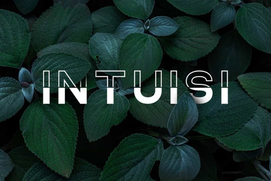 NONLOCAL Font Image 2