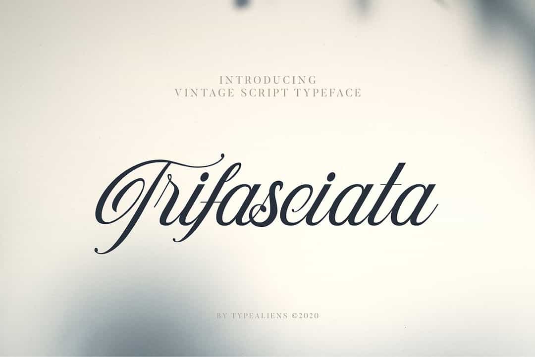 Trifasciata Font Image 1