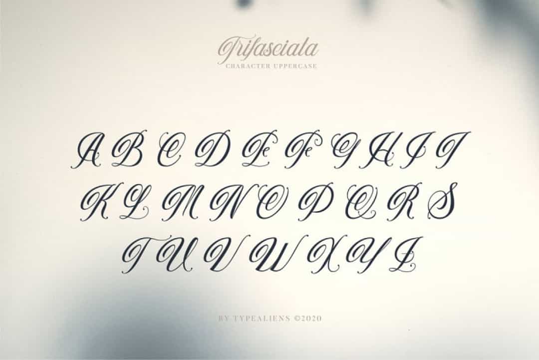Trifasciata Font Image 2