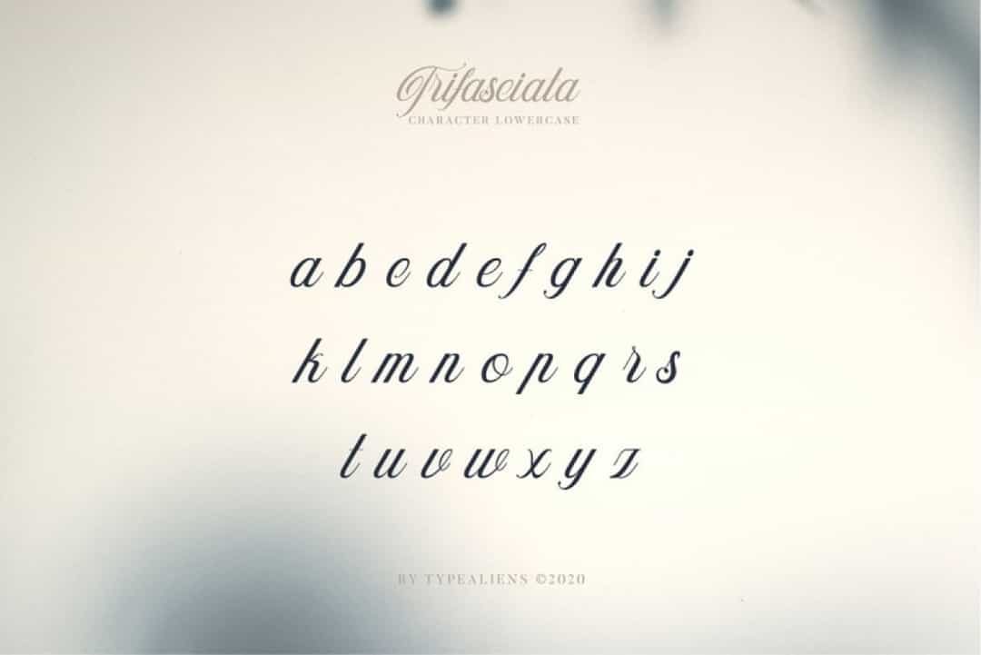 Trifasciata Font Image 3
