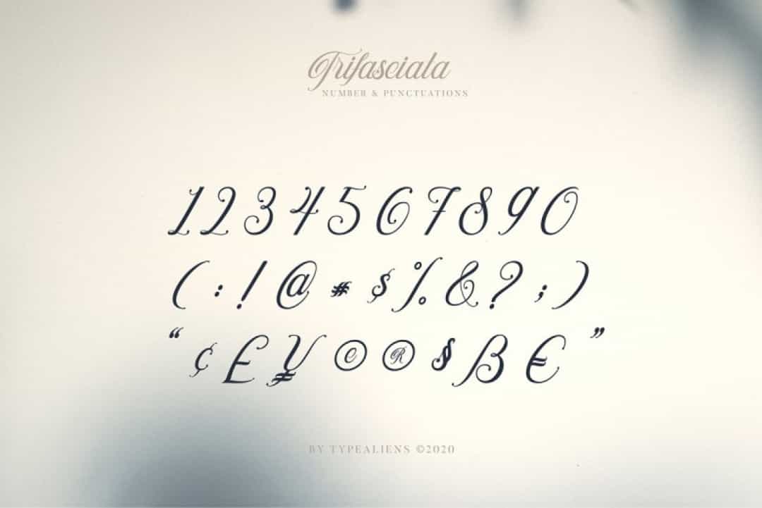 Trifasciata Font Image 4