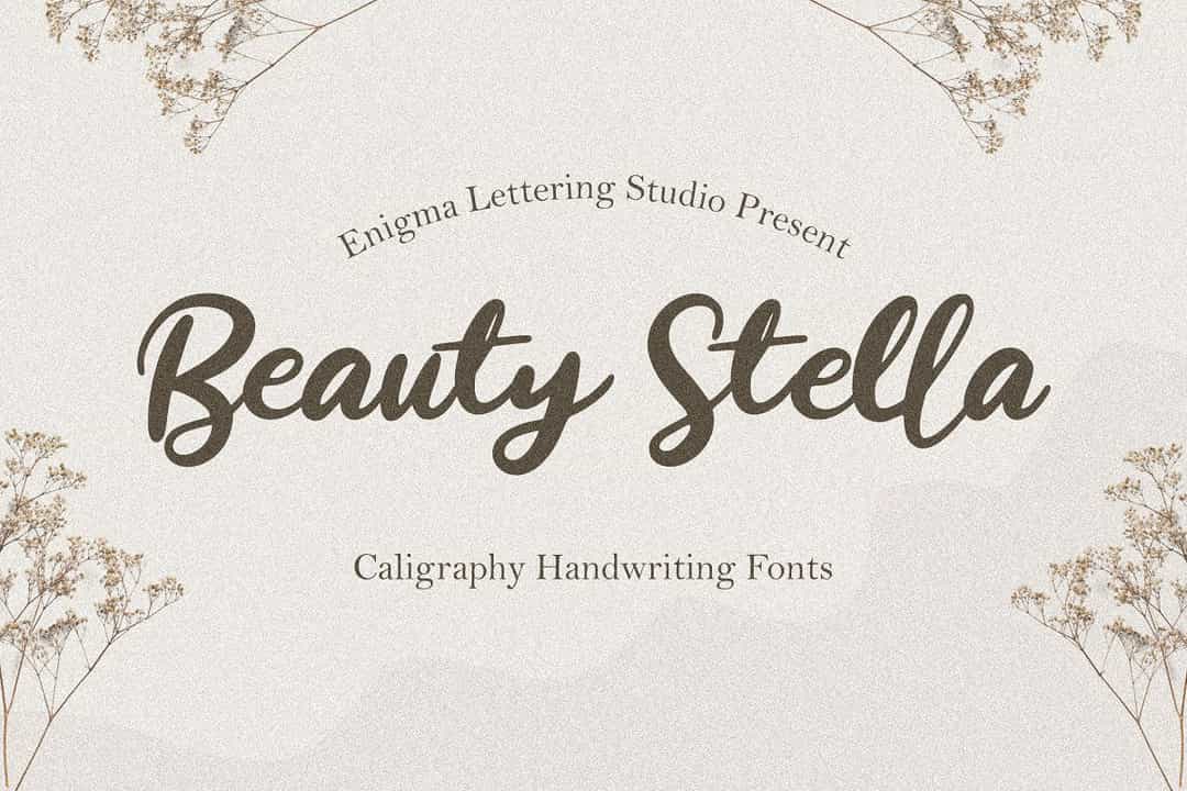 Beauty Stella Font Image 1