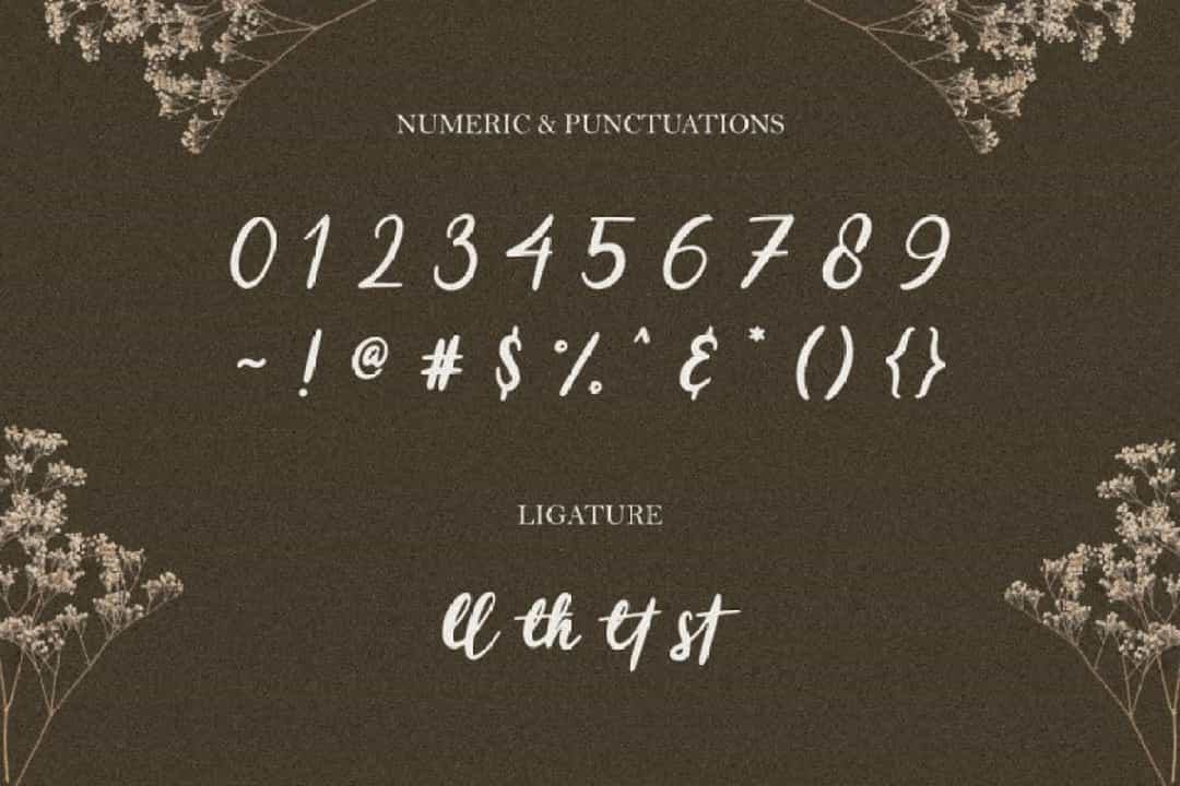 Beauty Stella Font Image 3