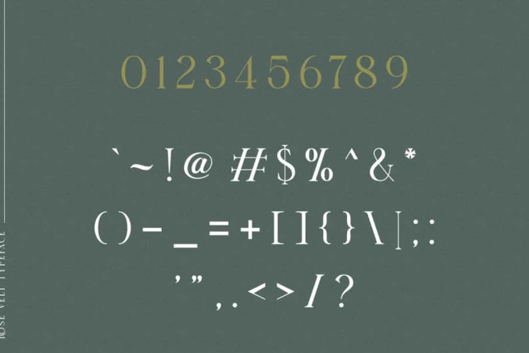 Rose Velt Font Image 3