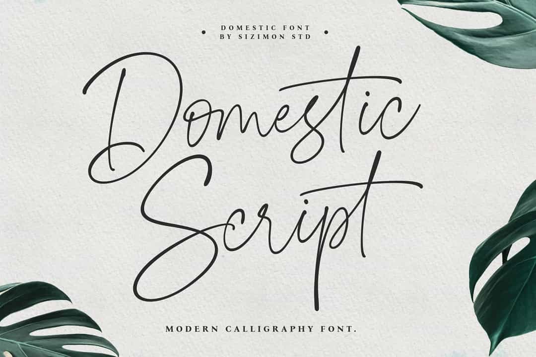 Domestic Font Image 1