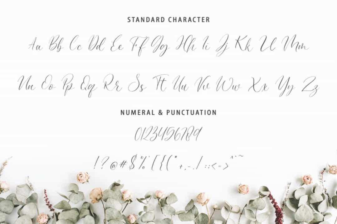 Pauletta Font Image 3