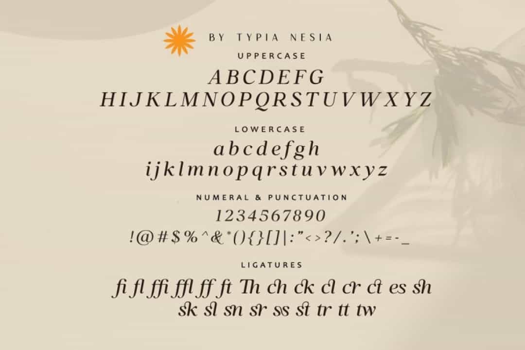Bilsstwin Font Image 3