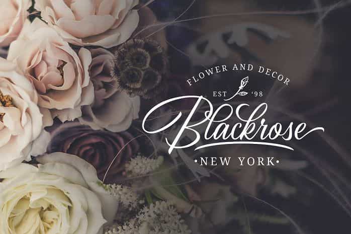 Birmingham Script Font Image 2