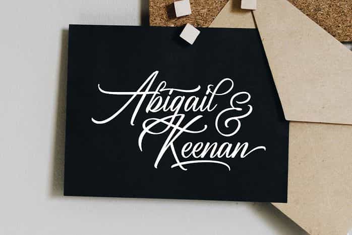 Birmingham Script Font Image 3