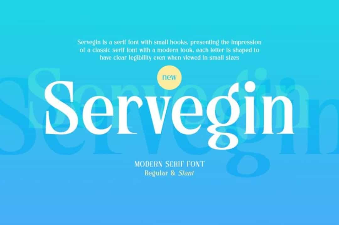 Servegin Font Image 1