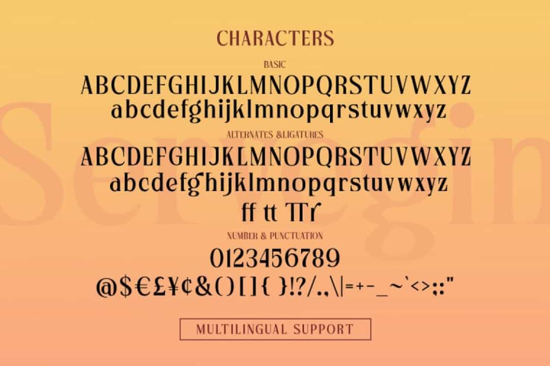 Servegin Font Image 3