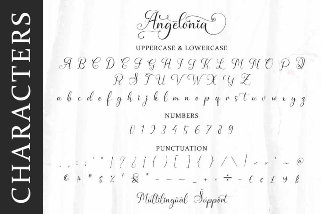 Angelonia Font Image 3