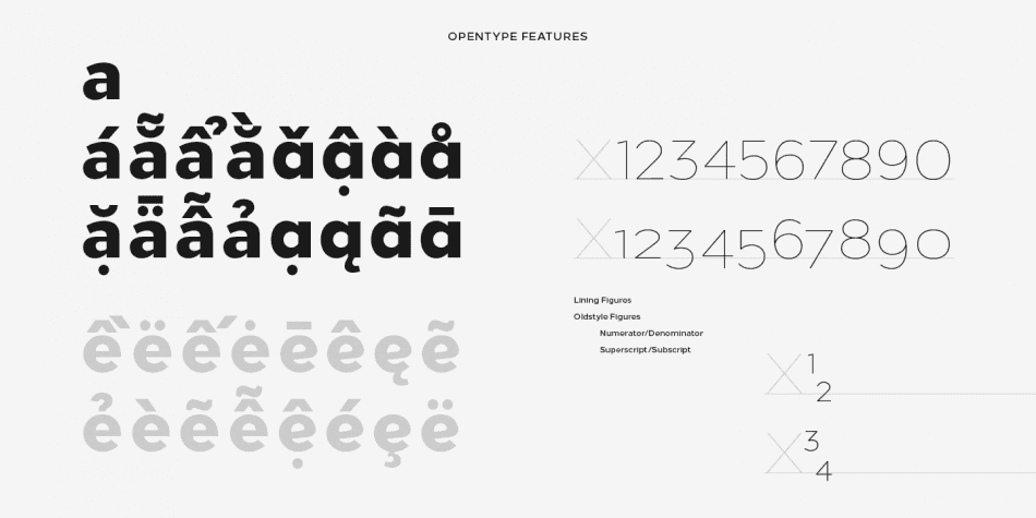 Loew Font Image 3