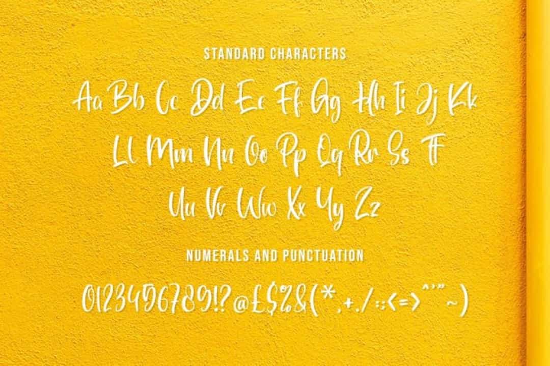 Santarino Font Image 3