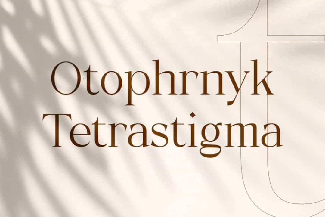 Typhone Font Image 2
