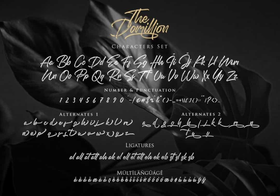 Domillion Font Image 3
