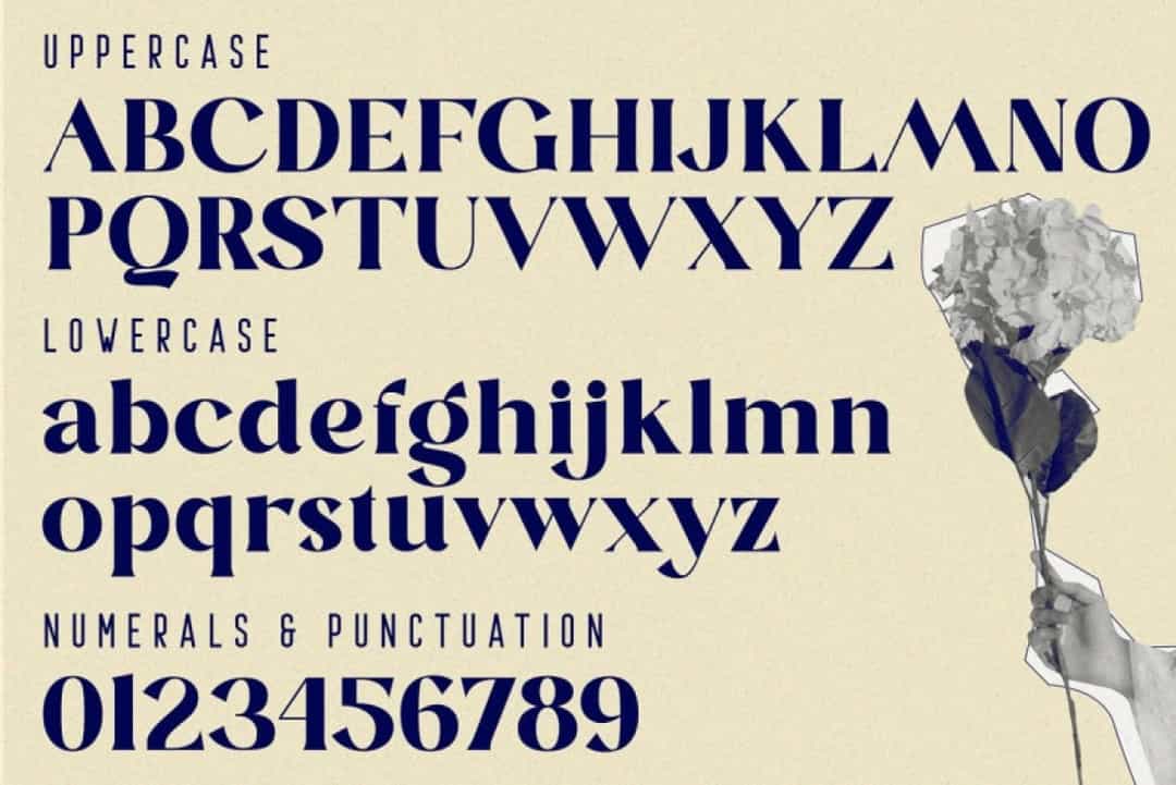 Blastula Font Image 2