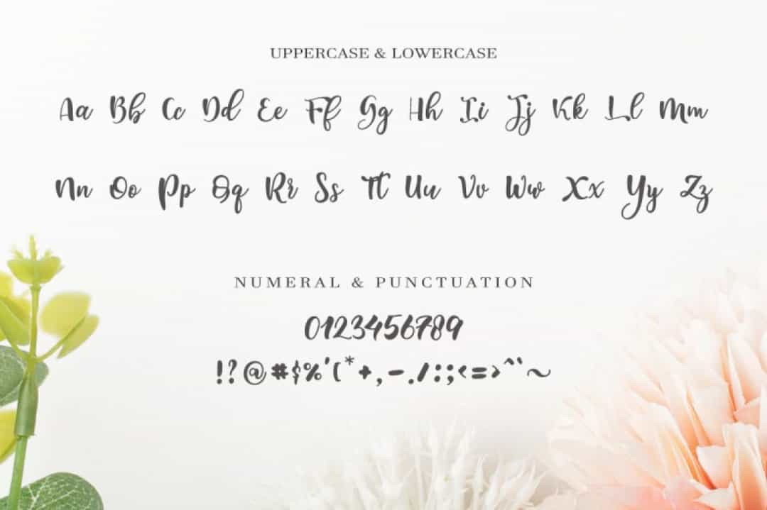 Medyna Font Image 3