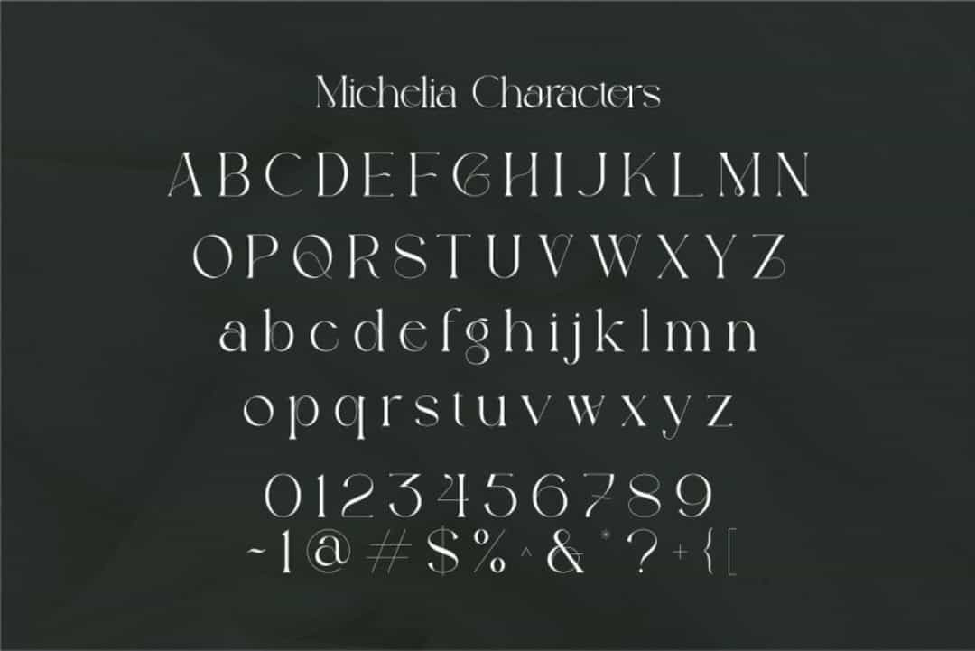 Michelia Font Image 3