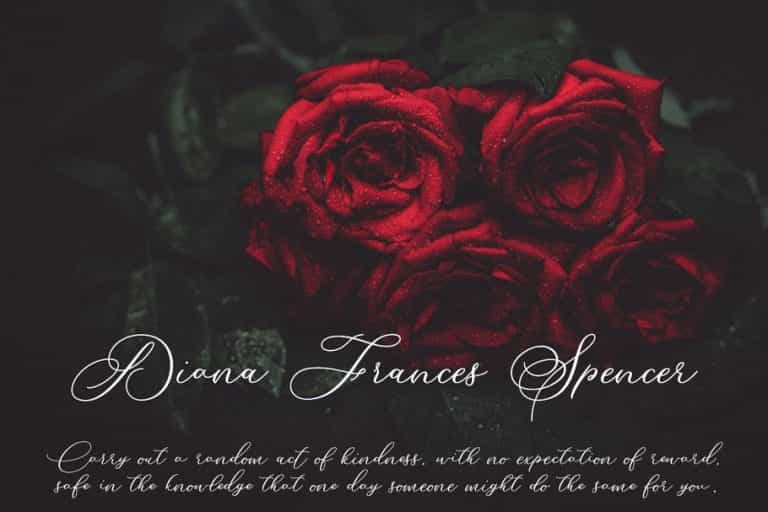 Betty Laudia Script Font Image 3