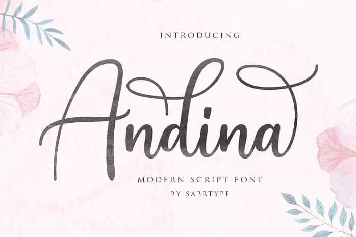 Andina Script Font Image 1